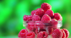 Malinovo olje (Rubus idaeus)